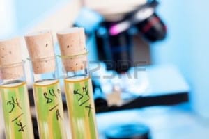 pesticides in wheat test tubes 