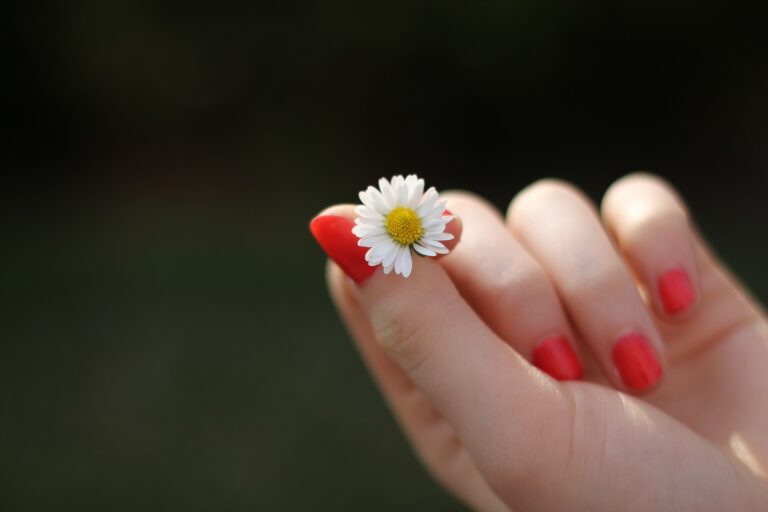 fingernails with daisy Hand with red fingernails holding small daisy Fingernails ibs