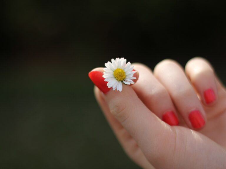 Hand with red fingernails holding small daisy Fingernails ibs