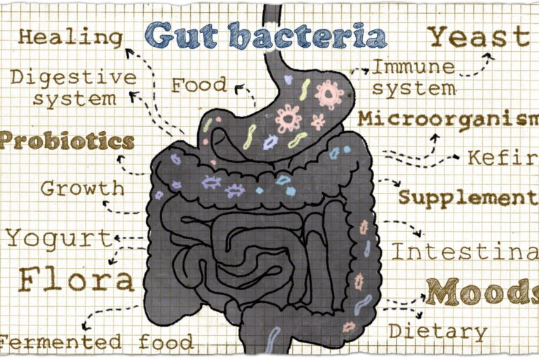 Celiac and Microbiome- Image of Gut with words, gut bacteria, yeast, yogurt, probiotics, flora, mood