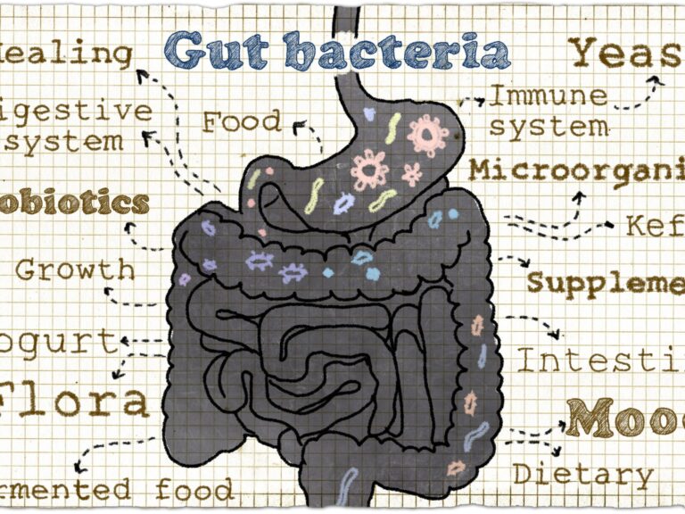 Celiac and Microbiome- Image of Gut with words, gut bacteria, yeast, yogurt, probiotics, flora, mood