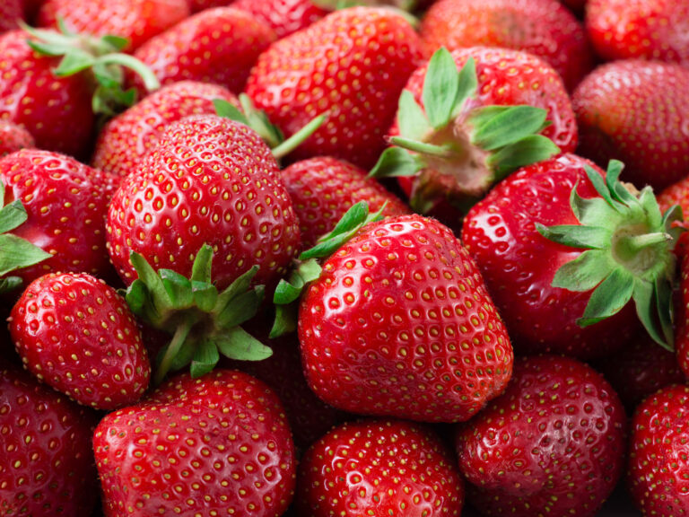 Fresas- una fruta en la dieta baja en fodmaps- La dieta baja en fodmaps y gluten