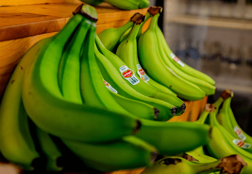 green bananas can be used in green banana recipes as potato substitutes