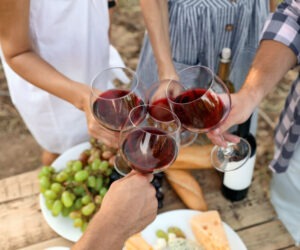 dry farm wine is all the rage. Dry farm wines in this image of friends clinking glasses of wine over a picnic table