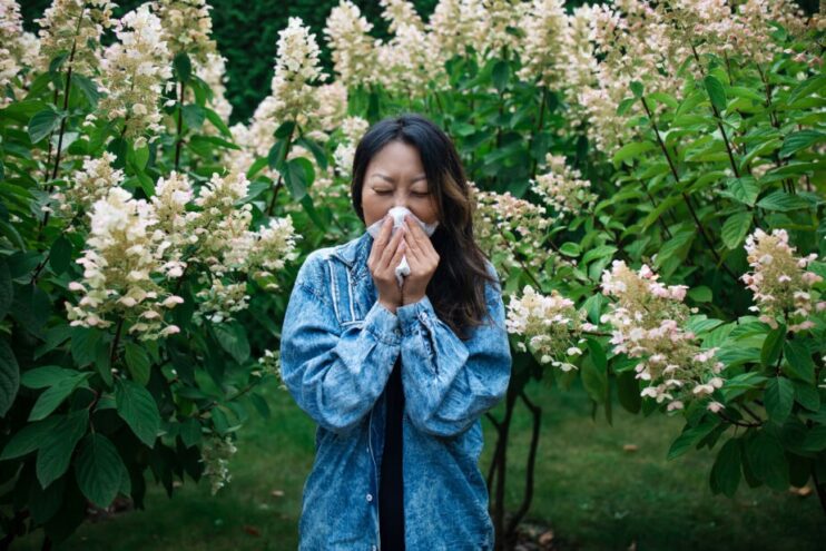Sneezing young asian girl among flowering trees in the park histamine intolerance symptoms in clude sneezing like the woman in the photo surrounded by flowers