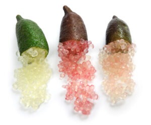 finger limes in three colors, green, red, yellow