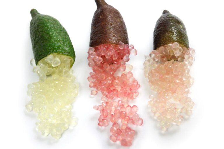 finger limes in three colors, green, red, yellow