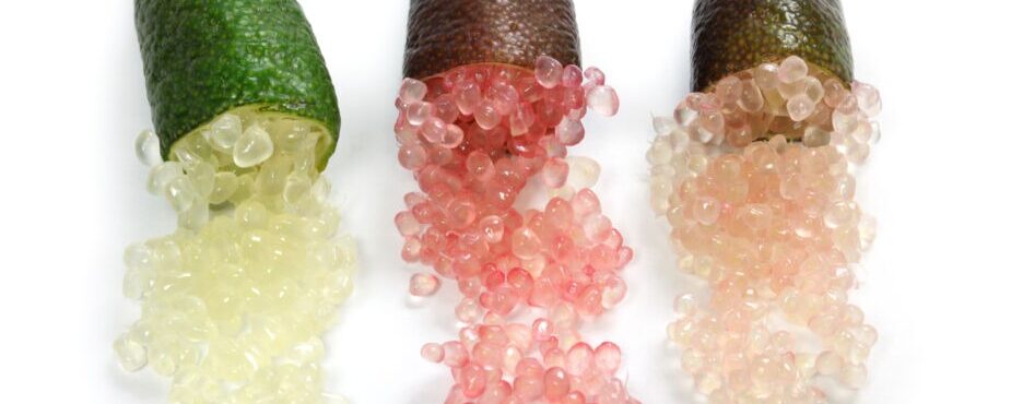 finger limes in three colors, green, red, yellow